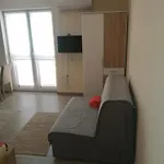 Maja-vir Apartment Vir